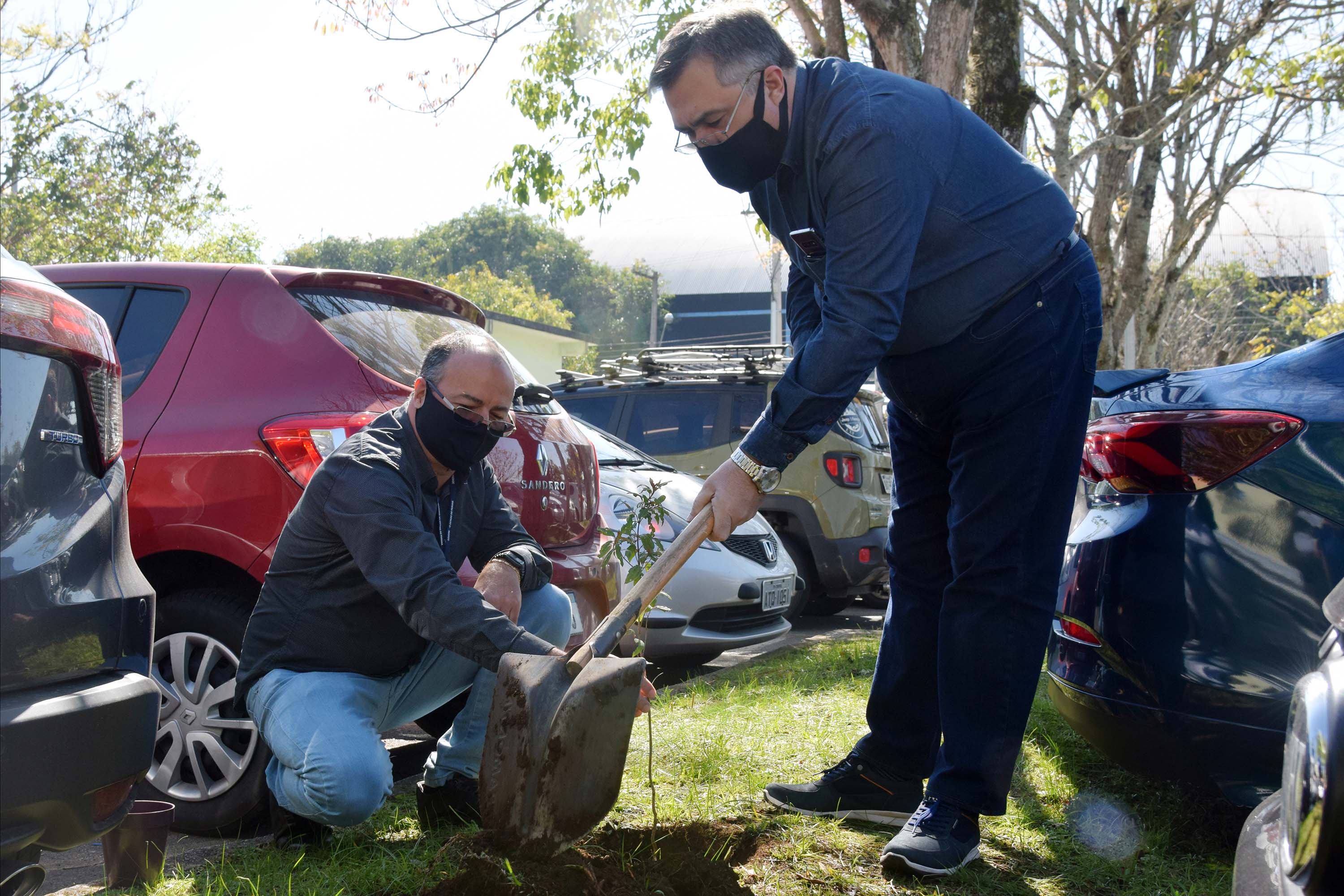 O Governador Carlos Massa Ratinho Junior participa nesta sexta-feira (28), da campanha Floresce Paraná, em comemoração ao Dia Nacional do Voluntariado. A ação é liderada pela primeira-dama do Estado e presidente do Conselho de Ação Solidária, Luciana Saito Massa. Acompanhados do secretário do Desenvolvimento Sustentável e do Turismo, Marcio Nunes. Curitiba, 28/08/2020. Foto: Geraldo Bubniak/AEN