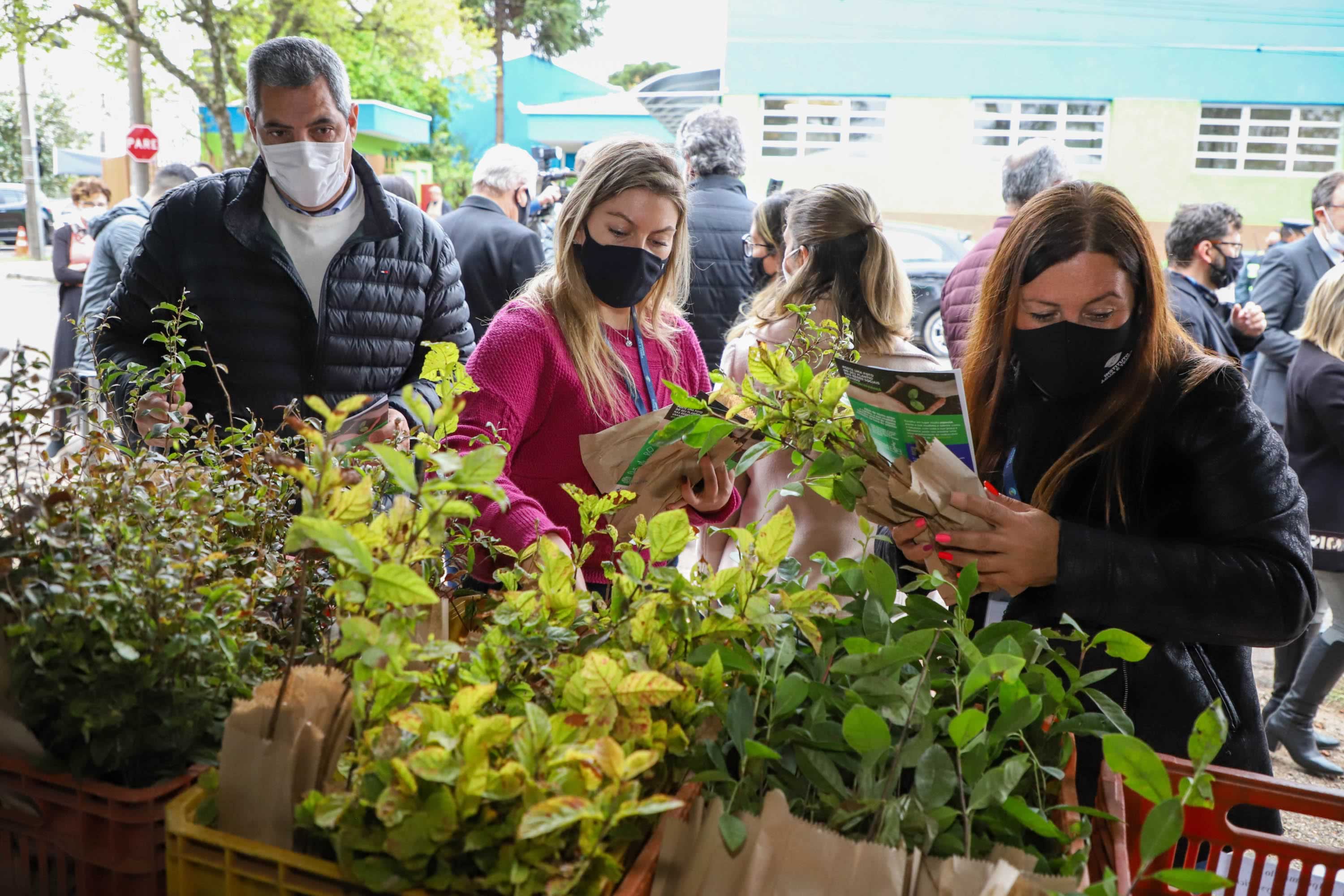 A primeira-dama Luciana Saito Massa, que preside o Conselho de Ação Solidária, e o secretário de Desenvolvimento Sustentável e do Turismo, Márcio Nunes, participam da distribuição de mudas da campanha Floresce Paraná.F oto: Valdelino Pontes