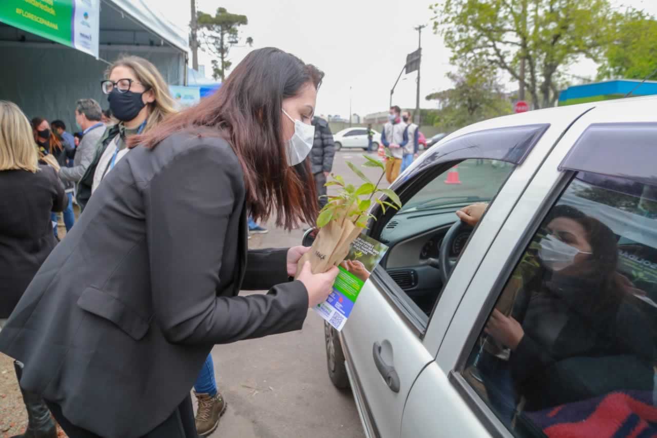 O Governador Carlos Massa Ratinho Junior participa nesta sexta-feira (28), da campanha Floresce Paraná, em comemoração ao Dia Nacional do Voluntariado. A ação é liderada pela primeira-dama do Estado e presidente do Conselho de Ação Solidária, Luciana Saito Massa. Acompanhados do secretário do Desenvolvimento Sustentável e do Turismo, Marcio Nunes. Curitiba, 28/08/2020. Foto: Geraldo Bubniak/AEN