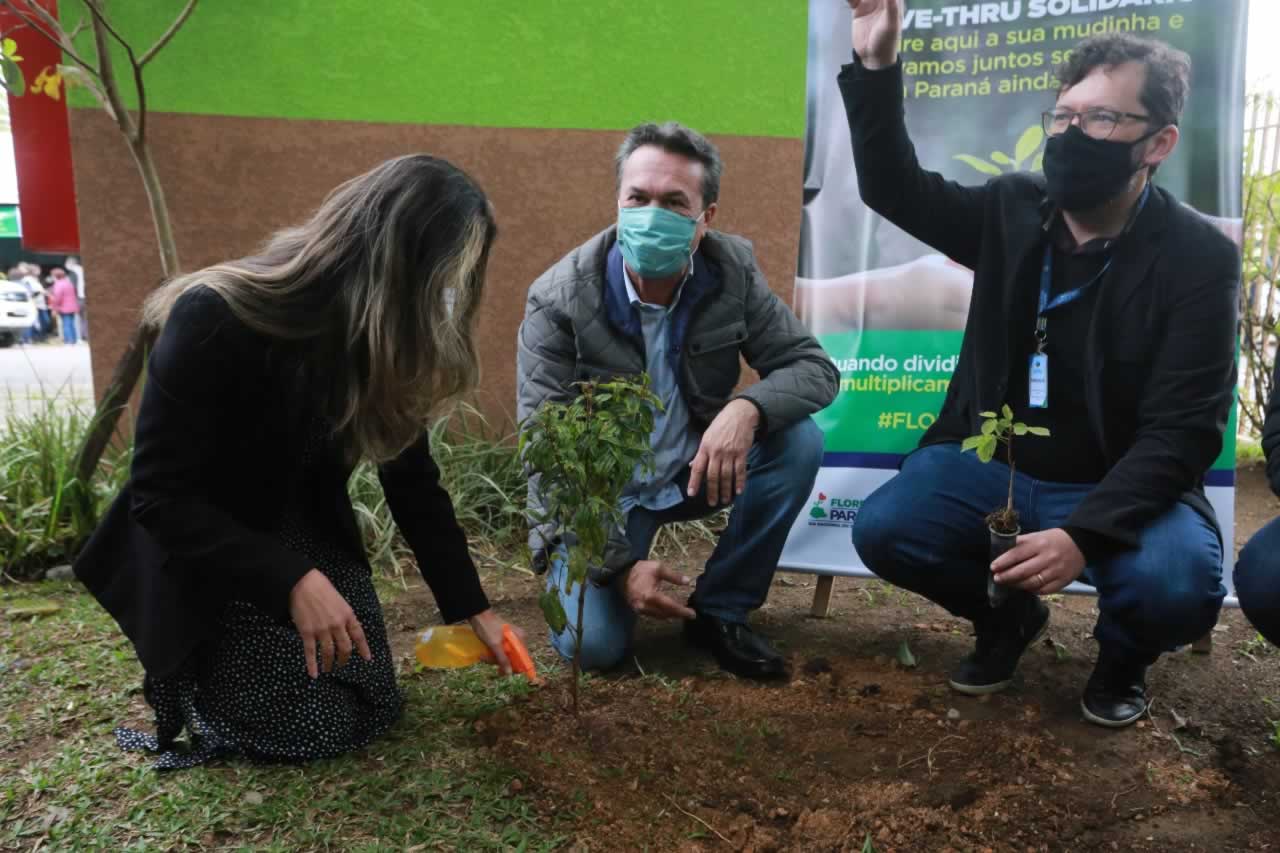 O Governador Carlos Massa Ratinho Junior participa nesta sexta-feira (28), da campanha Floresce Paraná, em comemoração ao Dia Nacional do Voluntariado. A ação é liderada pela primeira-dama do Estado e presidente do Conselho de Ação Solidária, Luciana Saito Massa. Acompanhados do secretário do Desenvolvimento Sustentável e do Turismo, Marcio Nunes. Curitiba, 28/08/2020. Foto: Geraldo Bubniak/AEN