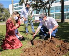 O Governador Carlos Massa Ratinho Junior participa nesta sexta-feira (28), da campanha Floresce Paraná, em comemoração ao Dia Nacional do Voluntariado. A ação é liderada pela primeira-dama do Estado e presidente do Conselho de Ação Solidária, Luciana Saito Massa. Acompanhados do secretário do Desenvolvimento Sustentável e do Turismo, Marcio Nunes. Curitiba, 28/08/2020. Foto: Geraldo Bubniak/AEN