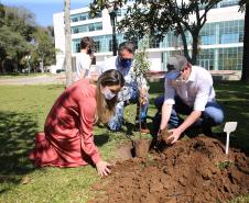 O Governador Carlos Massa Ratinho Junior participa nesta sexta-feira (28), da campanha Floresce Paraná, em comemoração ao Dia Nacional do Voluntariado. A ação é liderada pela primeira-dama do Estado e presidente do Conselho de Ação Solidária, Luciana Saito Massa. Acompanhados do secretário do Desenvolvimento Sustentável e do Turismo, Marcio Nunes. Curitiba, 28/08/2020. Foto: Geraldo Bubniak/AEN
