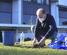 O Governador Carlos Massa Ratinho Junior participa nesta sexta-feira (28), da campanha Floresce Paraná, em comemoração ao Dia Nacional do Voluntariado. A ação é liderada pela primeira-dama do Estado e presidente do Conselho de Ação Solidária, Luciana Saito Massa. Acompanhados do secretário do Desenvolvimento Sustentável e do Turismo, Marcio Nunes. Curitiba, 28/08/2020. Foto: Geraldo Bubniak/AEN