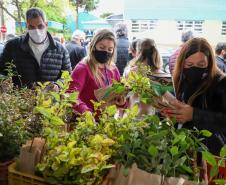 A primeira-dama Luciana Saito Massa, que preside o Conselho de Ação Solidária, e o secretário de Desenvolvimento Sustentável e do Turismo, Márcio Nunes, participam da distribuição de mudas da campanha Floresce Paraná.F oto: Valdelino Pontes