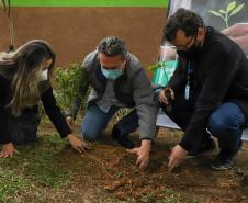 A primeira-dama Luciana Saito Massa, que preside o Conselho de Ação Solidária, e o secretário de Desenvolvimento Sustentável e do Turismo, Márcio Nunes, participam da distribuição de mudas da campanha Floresce Paraná.F oto: Valdelino Pontes