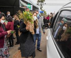 A primeira-dama Luciana Saito Massa, que preside o Conselho de Ação Solidária, e o secretário de Desenvolvimento Sustentável e do Turismo, Márcio Nunes, participam da distribuição de mudas da campanha Floresce Paraná.F oto: Valdelino Pontes
