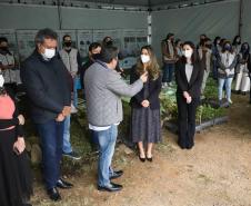 A primeira-dama Luciana Saito Massa, que preside o Conselho de Ação Solidária, e o secretário de Desenvolvimento Sustentável e do Turismo, Márcio Nunes, participam da distribuição de mudas da campanha Floresce Paraná.F oto: Valdelino Pontes