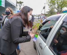 A primeira-dama Luciana Saito Massa, que preside o Conselho de Ação Solidária, e o secretário de Desenvolvimento Sustentável e do Turismo, Márcio Nunes, participam da distribuição de mudas da campanha Floresce Paraná.F oto: Valdelino Pontes