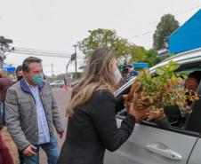 A primeira-dama Luciana Saito Massa, que preside o Conselho de Ação Solidária, e o secretário de Desenvolvimento Sustentável e do Turismo, Márcio Nunes, participam da distribuição de mudas da campanha Floresce Paraná.F oto: Valdelino Pontes