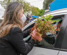 A primeira-dama Luciana Saito Massa, que preside o Conselho de Ação Solidária, e o secretário de Desenvolvimento Sustentável e do Turismo, Márcio Nunes, participam da distribuição de mudas da campanha Floresce Paraná.F oto: Valdelino Pontes