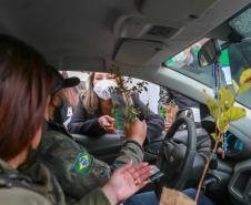 A primeira-dama Luciana Saito Massa, que preside o Conselho de Ação Solidária, e o secretário de Desenvolvimento Sustentável e do Turismo, Márcio Nunes, participam da distribuição de mudas da campanha Floresce Paraná.F oto: Valdelino Pontes