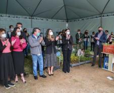 A primeira-dama Luciana Saito Massa, que preside o Conselho de Ação Solidária, e o secretário de Desenvolvimento Sustentável e do Turismo, Márcio Nunes, participam da distribuição de mudas da campanha Floresce Paraná.F oto: Valdelino Pontes