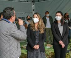 A primeira-dama Luciana Saito Massa, que preside o Conselho de Ação Solidária, e o secretário de Desenvolvimento Sustentável e do Turismo, Márcio Nunes, participam da distribuição de mudas da campanha Floresce Paraná.F oto: Valdelino Pontes