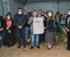 A primeira-dama Luciana Saito Massa, que preside o Conselho de Ação Solidária, e o secretário de Desenvolvimento Sustentável e do Turismo, Márcio Nunes, participam da distribuição de mudas da campanha Floresce Paraná.F oto: Valdelino Pontes
