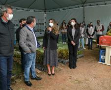 A primeira-dama Luciana Saito Massa, que preside o Conselho de Ação Solidária, e o secretário de Desenvolvimento Sustentável e do Turismo, Márcio Nunes, participam da distribuição de mudas da campanha Floresce Paraná.F oto: Valdelino Pontes