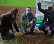 A primeira-dama Luciana Saito Massa, que preside o Conselho de Ação Solidária, e o secretário de Desenvolvimento Sustentável e do Turismo, Márcio Nunes, participam da distribuição de mudas da campanha Floresce Paraná.F oto: Valdelino Pontes