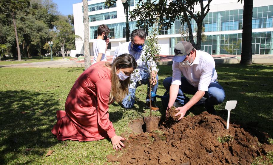 O Governador Carlos Massa Ratinho Junior participa nesta sexta-feira (28), da campanha Floresce Paraná, em comemoração ao Dia Nacional do Voluntariado. A ação é liderada pela primeira-dama do Estado e presidente do Conselho de Ação Solidária, Luciana Saito Massa. Acompanhados do secretário do Desenvolvimento Sustentável e do Turismo, Marcio Nunes. Curitiba, 28/08/2020. Foto: Geraldo Bubniak/AEN