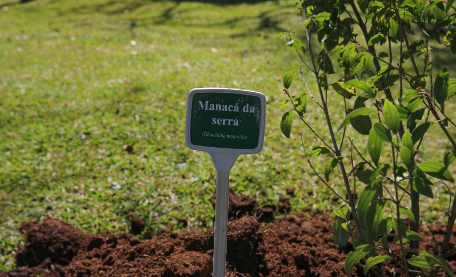 O Governador Carlos Massa Ratinho Junior participa nesta sexta-feira (28), da campanha Floresce Paraná, em comemoração ao Dia Nacional do Voluntariado. A ação é liderada pela primeira-dama do Estado e presidente do Conselho de Ação Solidária, Luciana Saito Massa. Acompanhados do secretário do Desenvolvimento Sustentável e do Turismo, Marcio Nunes. Curitiba, 28/08/2020. Foto: Geraldo Bubniak/AEN