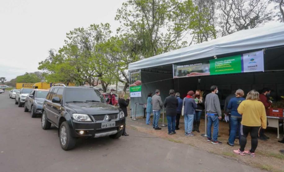 O Governador Carlos Massa Ratinho Junior participa nesta sexta-feira (28), da campanha Floresce Paraná, em comemoração ao Dia Nacional do Voluntariado. A ação é liderada pela primeira-dama do Estado e presidente do Conselho de Ação Solidária, Luciana Saito Massa. Acompanhados do secretário do Desenvolvimento Sustentável e do Turismo, Marcio Nunes. Curitiba, 28/08/2020. Foto: Geraldo Bubniak/AEN