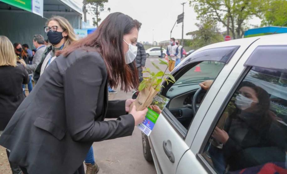 A primeira-dama Luciana Saito Massa, que preside o Conselho de Ação Solidária, e o secretário de Desenvolvimento Sustentável e do Turismo, Márcio Nunes, participam da distribuição de mudas da campanha Floresce Paraná.F oto: Valdelino Pontes